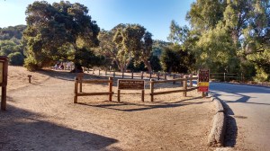 IMG_20151025_161925140_HDR