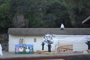 Deer Hollow Farm with its haloween decorations