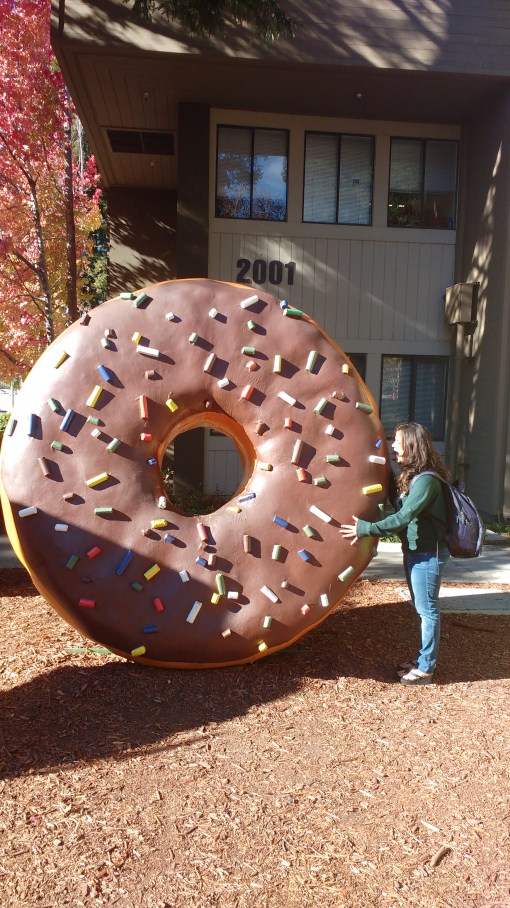 IMG_20151120_133448590