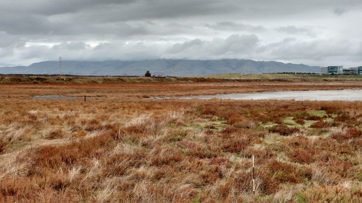 IMG_20151213_124049387_HDR