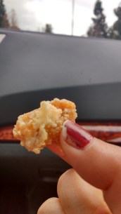 IMG_20151213_135443730_HDR