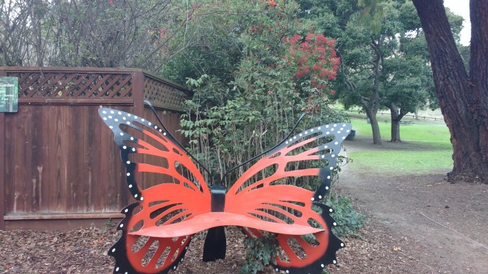 IMG_20151220_153449026