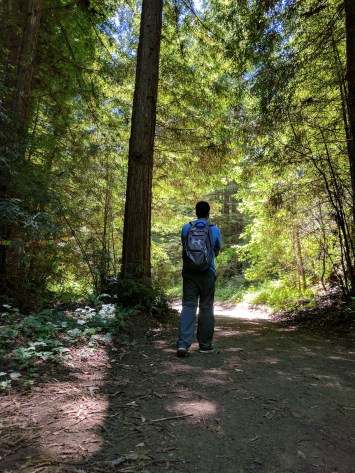 IMG_20170704_142314 (1)